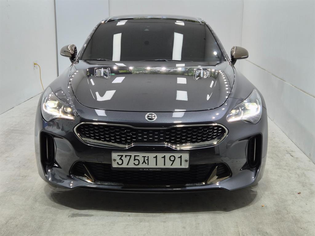 스팅어 가솔린 2.0 터보 2WD 플래티넘 2019년식