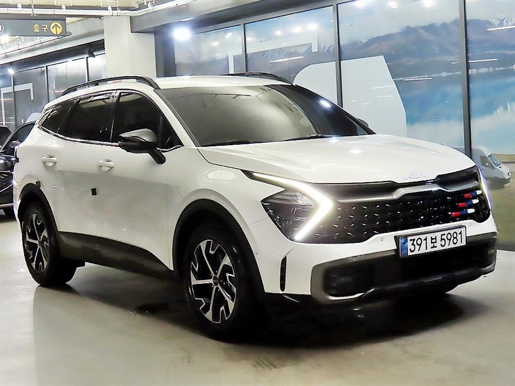 1.6 터보HEV 2WD 시그니처 그래비티 2023년식