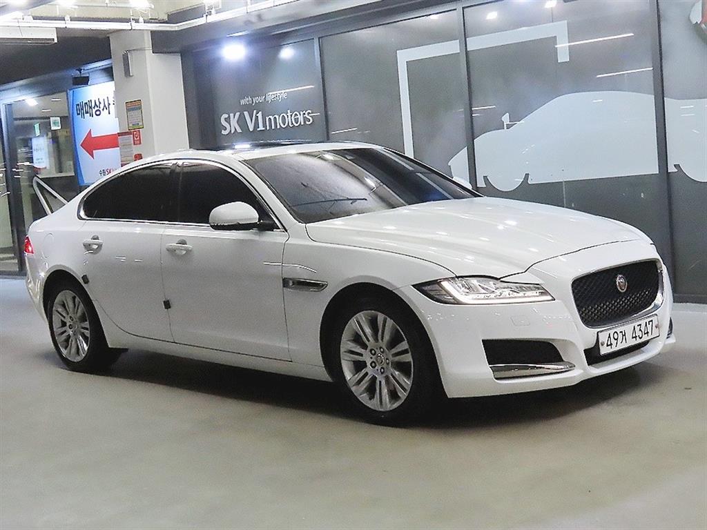 XF(X260) 2.0D 포트폴리오 2018년식