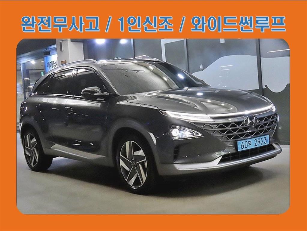 넥쏘 프리미엄 2024년식