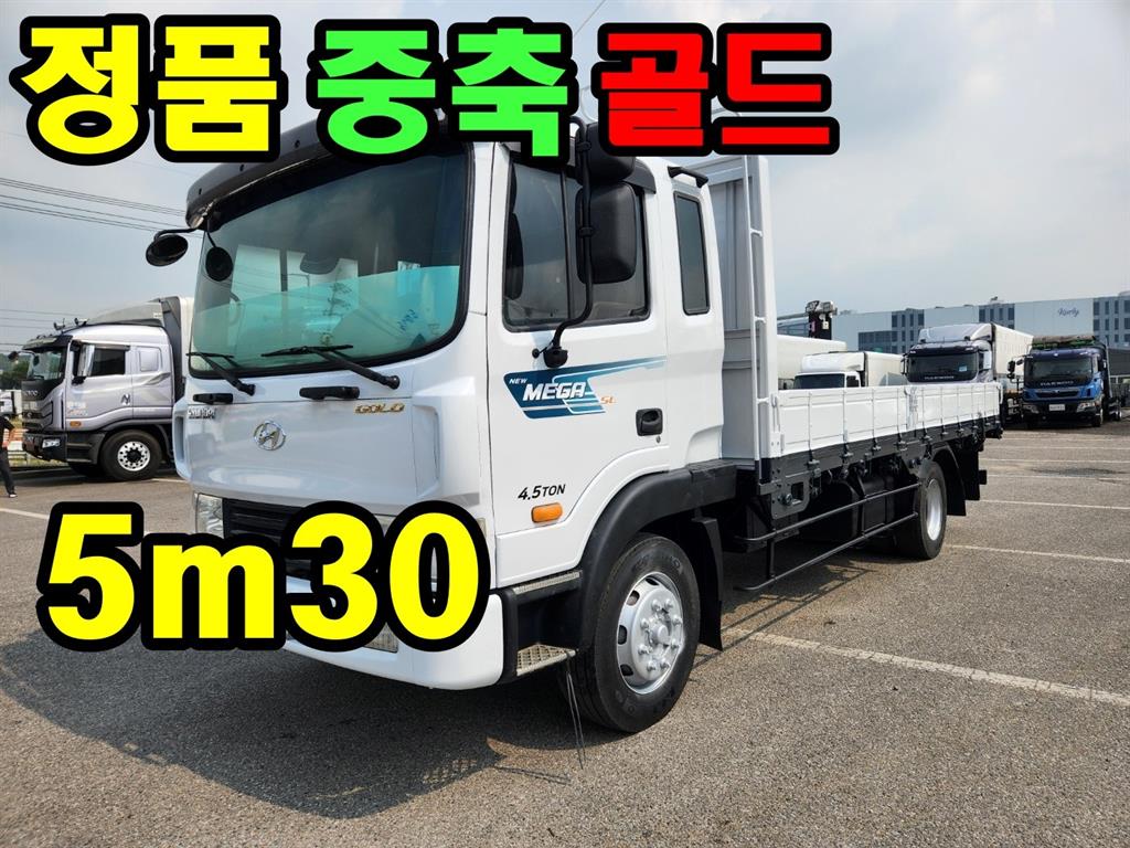 현대 메가트럭 250 카고 4.5톤 수동 - 중고 트럭 매물 이미지