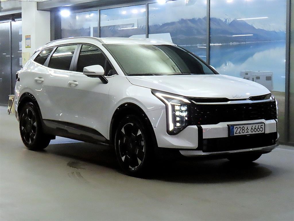 1.6 터보HEV 2WD 시그니처 2025년식
