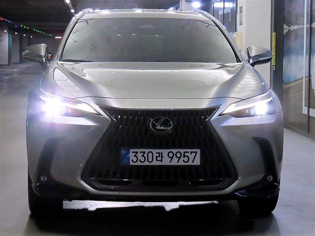 렉서스 NX 프리미엄 사진